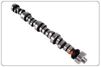 Custom Ground Hydraulic Roller Camshaft and Lifters