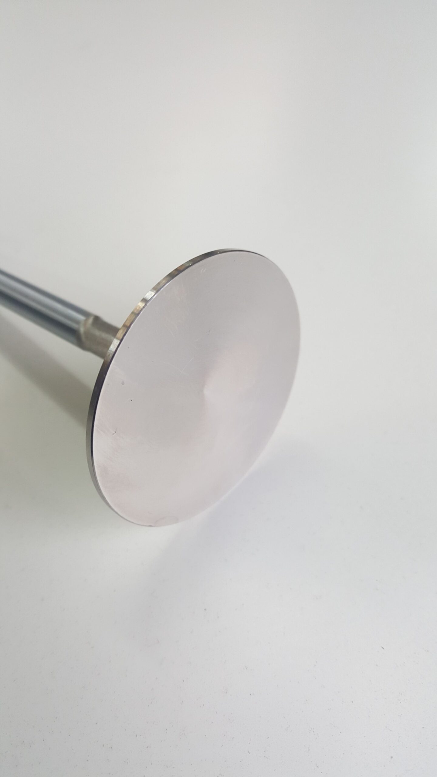 CHI FORD CLEVELAND INTAKE VALVE +.100" #IV2191